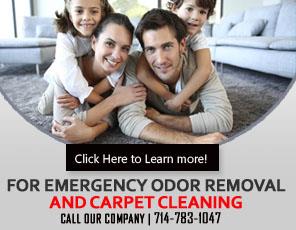 Commercial Rug Cleaning - Carpet Cleaning Santa Ana, CA